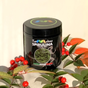 Spirulina 100gr in polvere